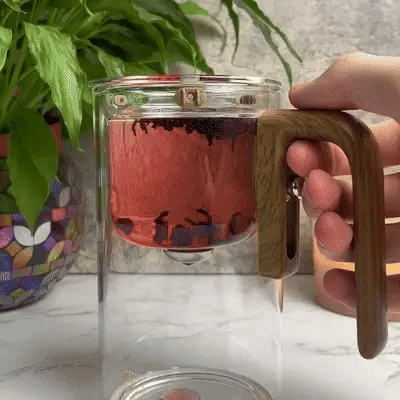 Magnetic Filtration Glass Teapot