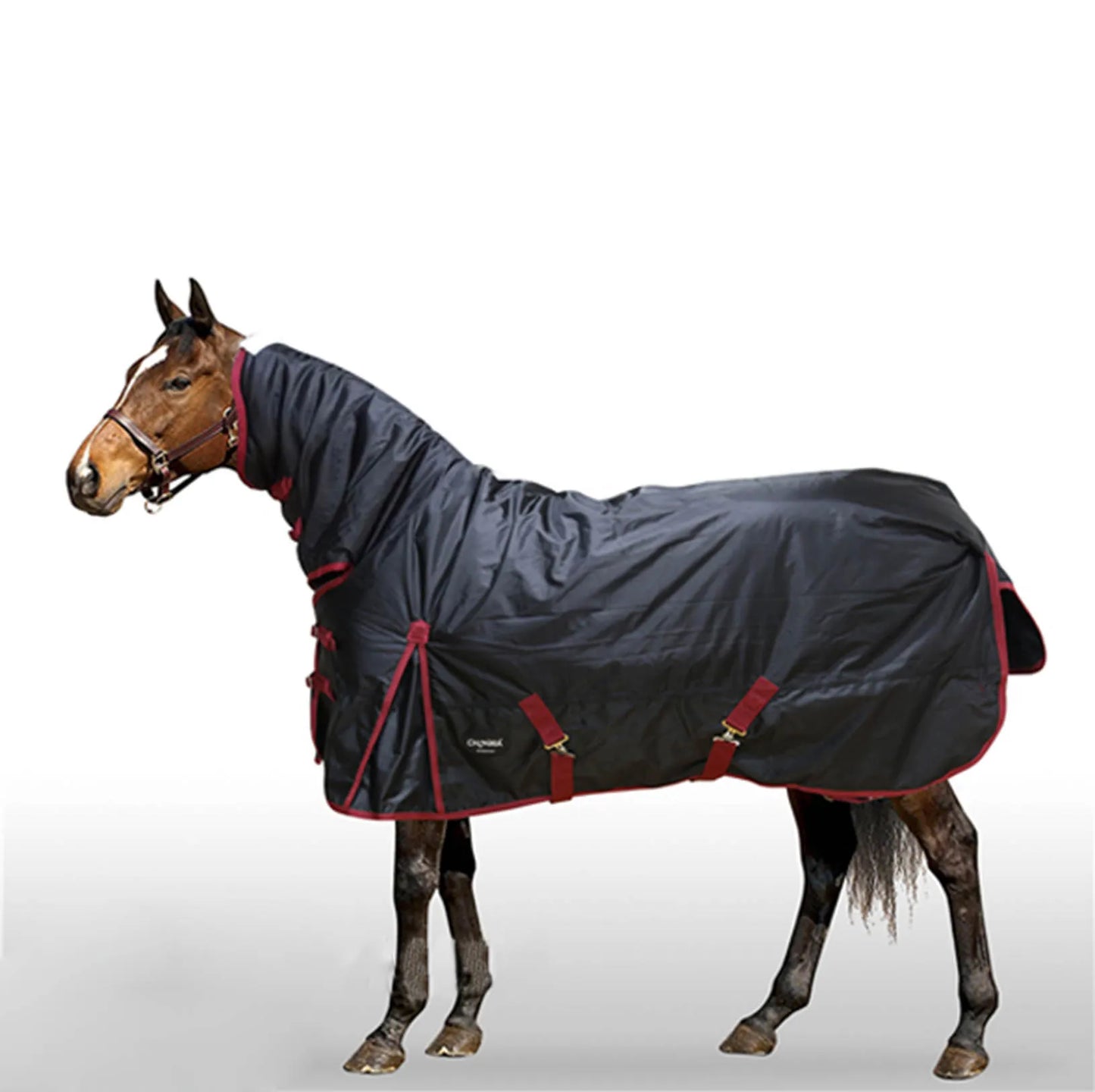 The Arctic Shield Horse Blanket