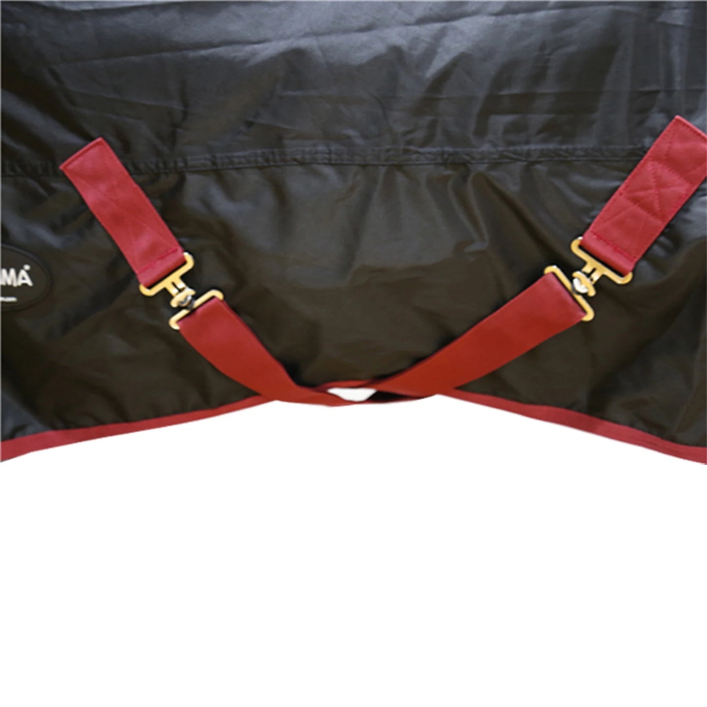 The Arctic Shield Horse Blanket