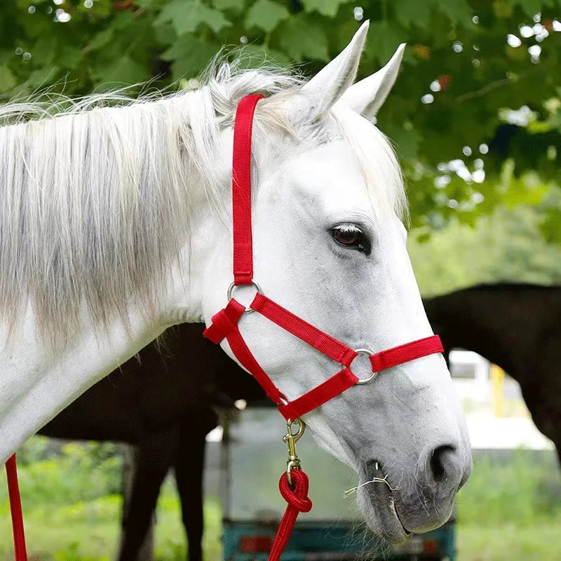 The Serenity Halter & Lead