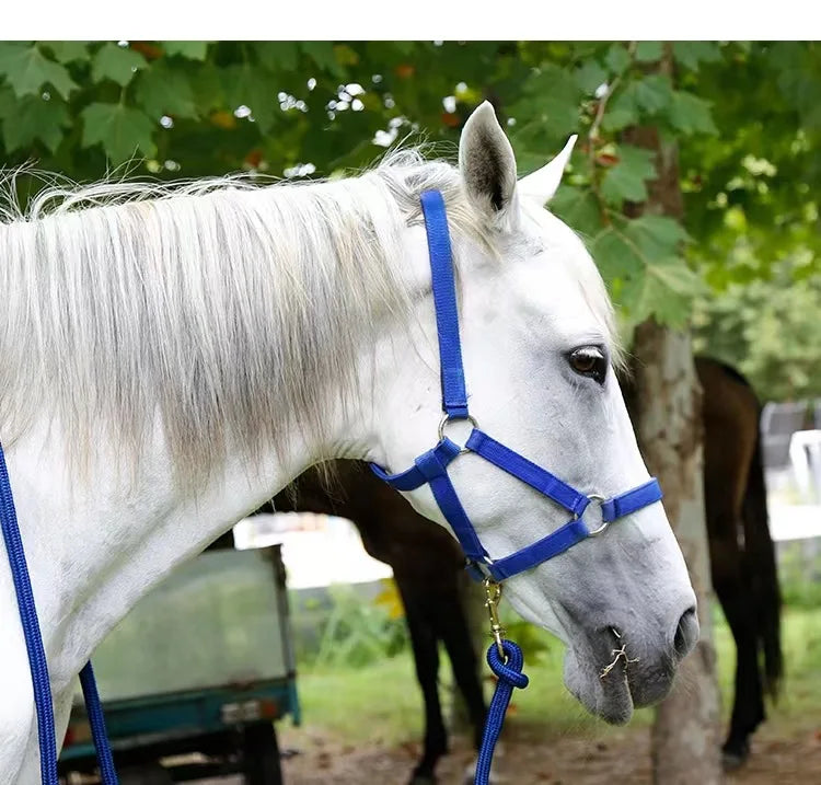 The Serenity Halter & Lead