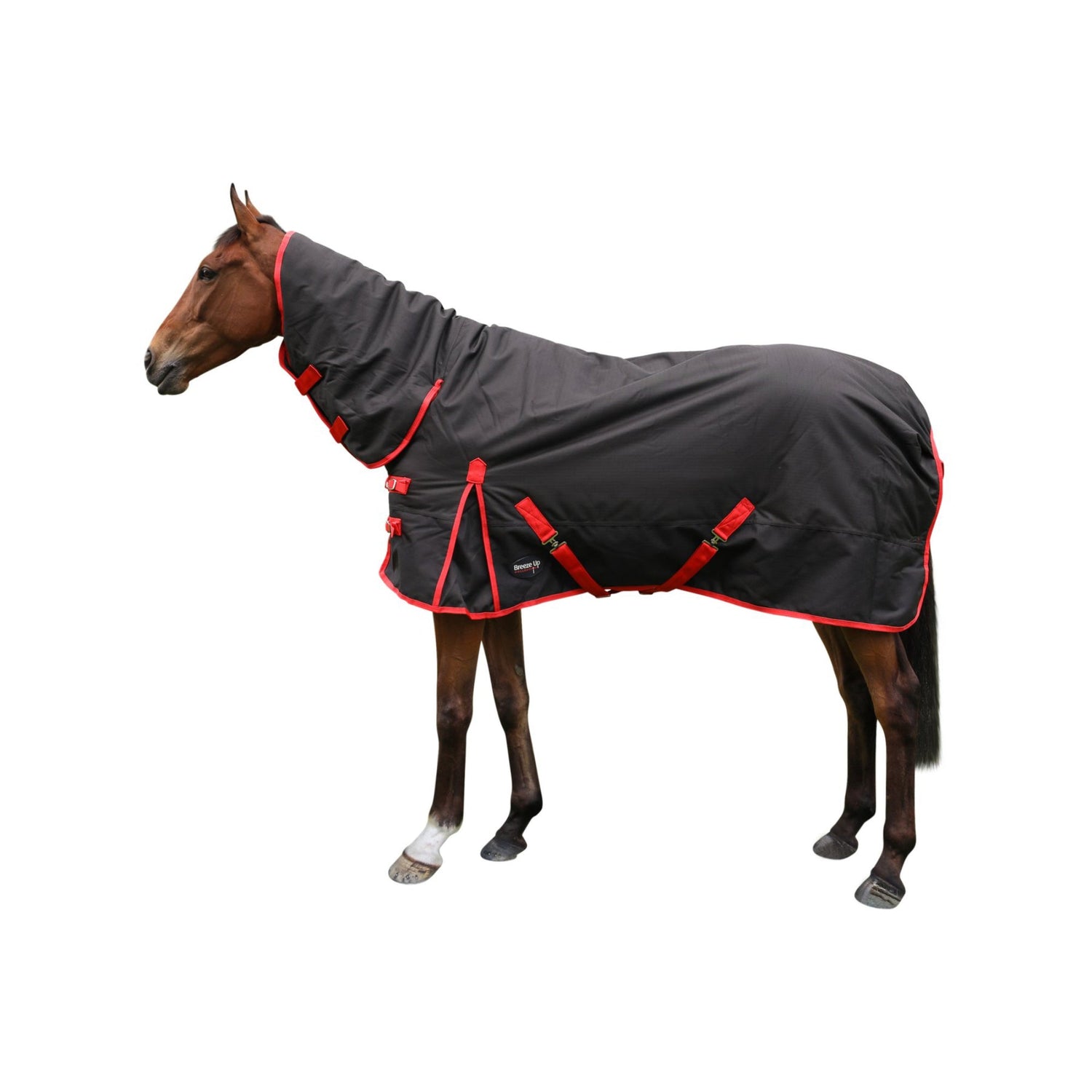Equestrian Gear & Essentials
