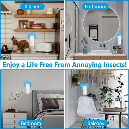 The Bug-Free Home Fly Trap