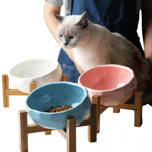 Purr-fect Cat Bowl