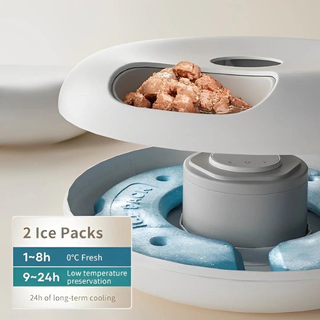 ROJECO 6 Meals Automatic Pet Feeder (with 2 Pcs Ice Pack)