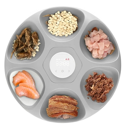 ROJECO 6 Meals Automatic Pet Feeder (with 2 Pcs Ice Pack)