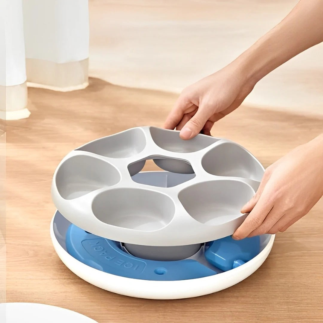 ROJECO 6 Meals Automatic Pet Feeder (with 2 Pcs Ice Pack)