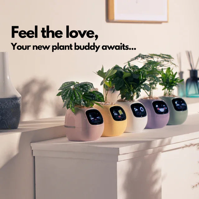 The Green-Buddy Smart Planter