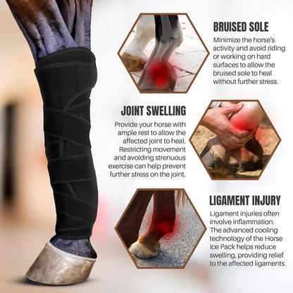Guardian Sport Horse Boots