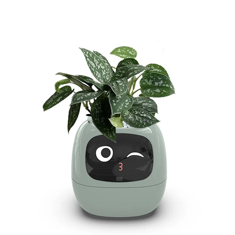 The Green-Buddy Smart Planter