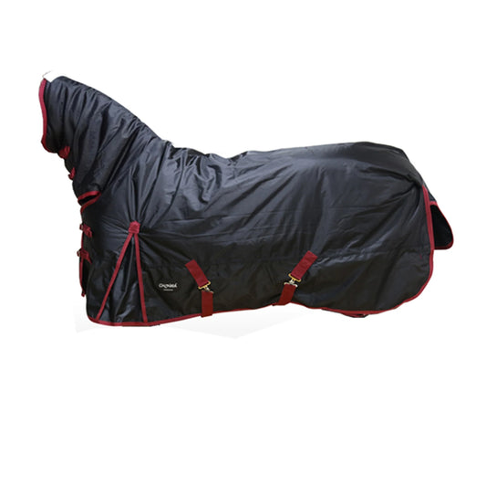 The Arctic Shield Horse Blanket