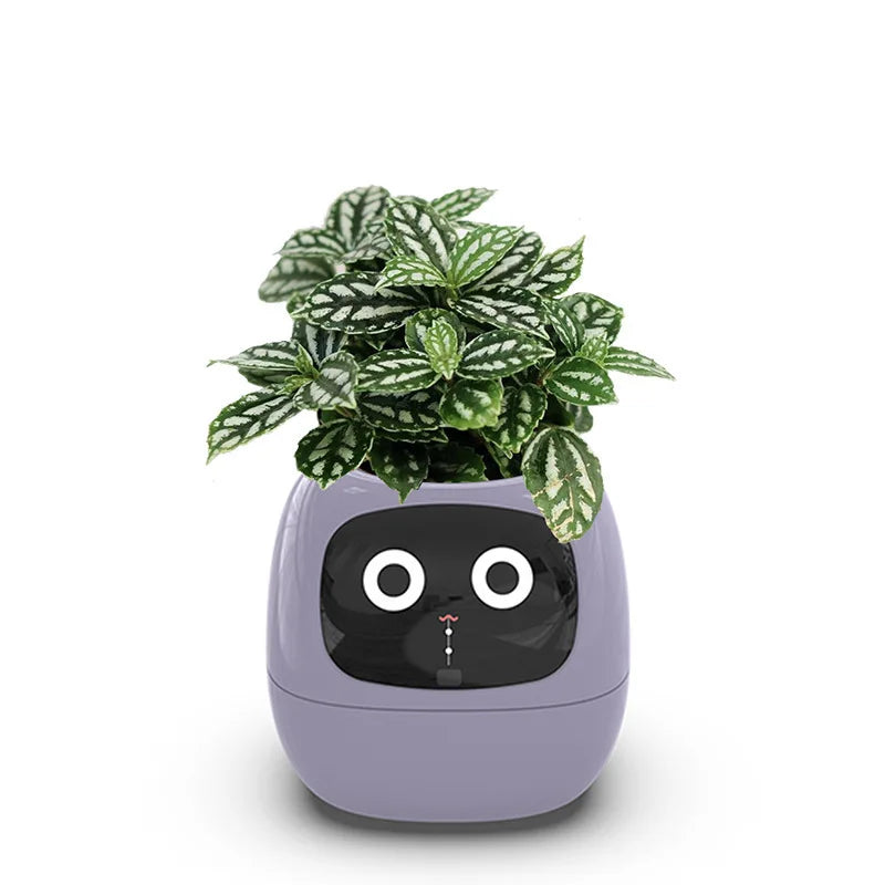 The Green-Buddy Smart Planter
