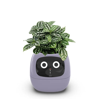 The Green-Buddy Smart Planter