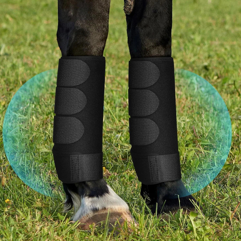 Guardian Sport Horse Boots