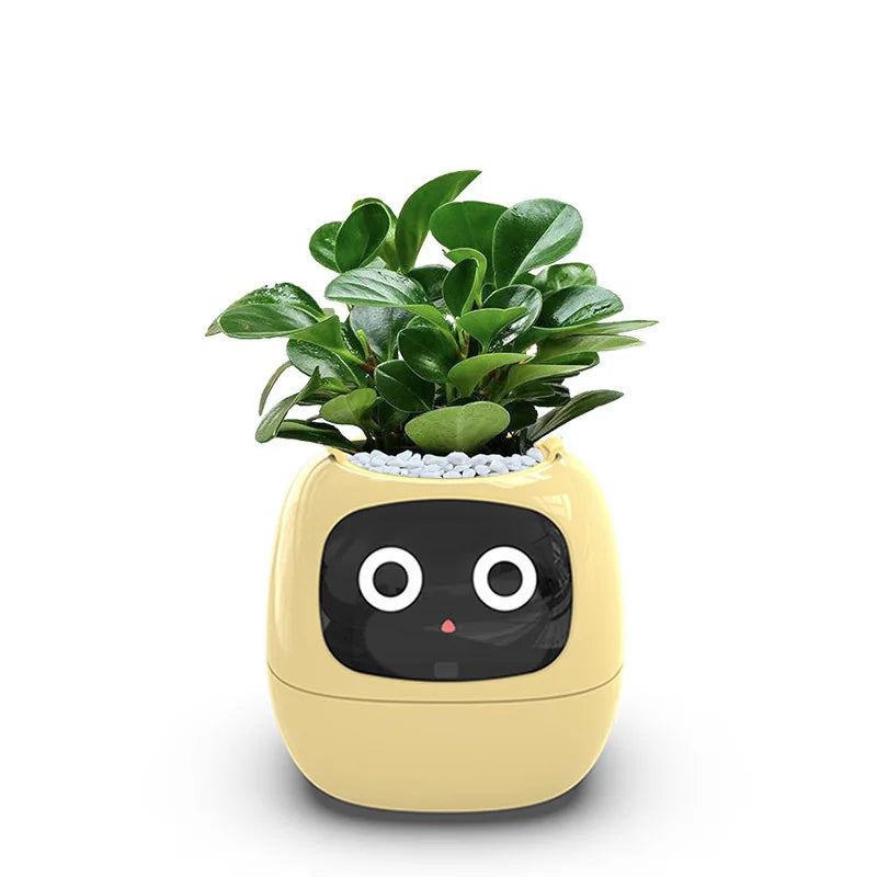 The Green-Buddy Smart Planter