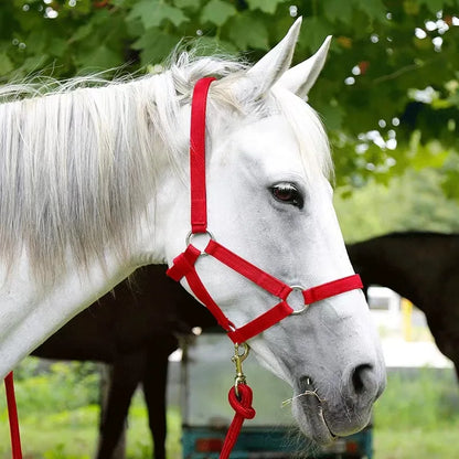 The Serenity Halter & Lead