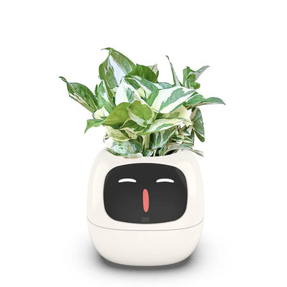 The Green-Buddy Smart Planter
