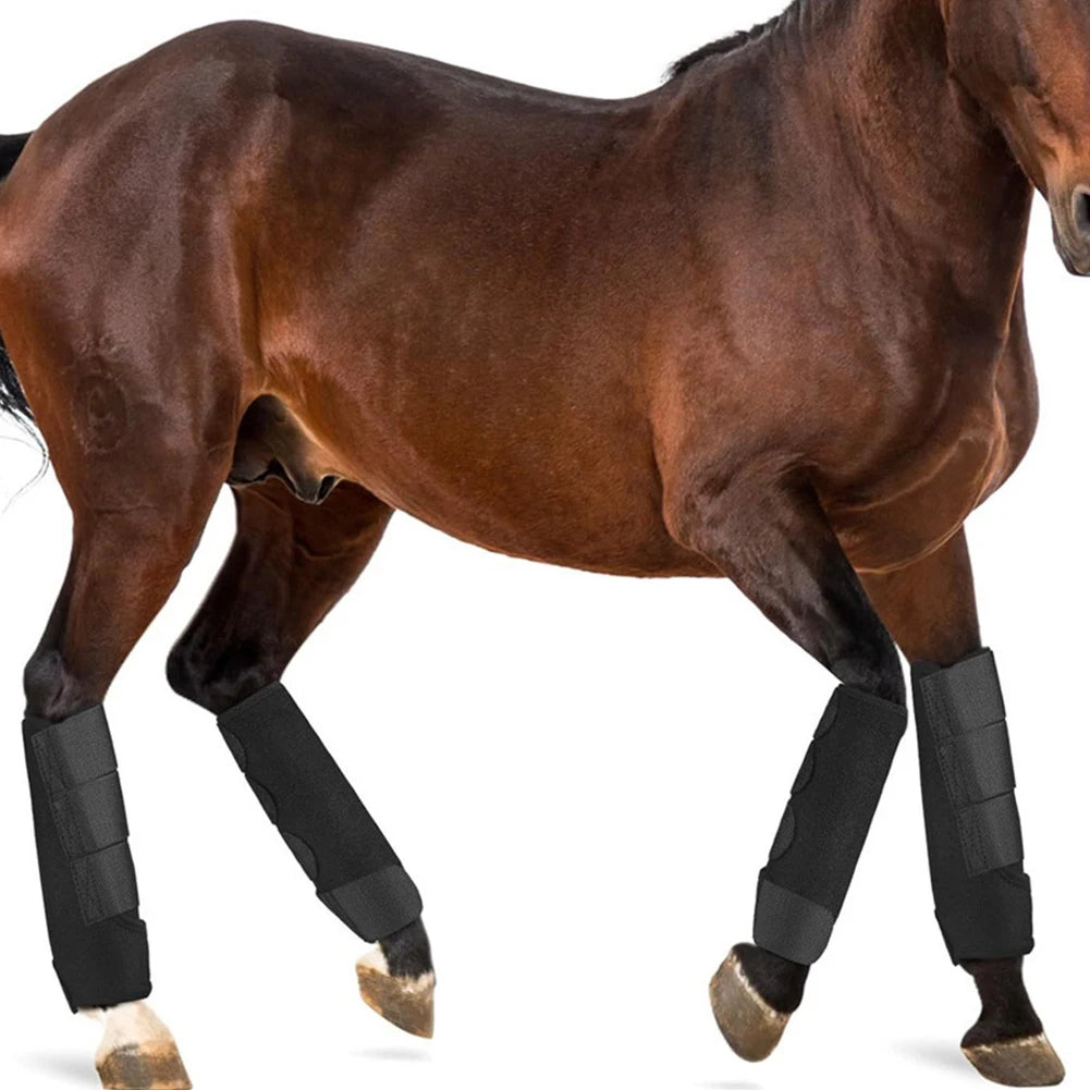 Guardian Sport Horse Boots