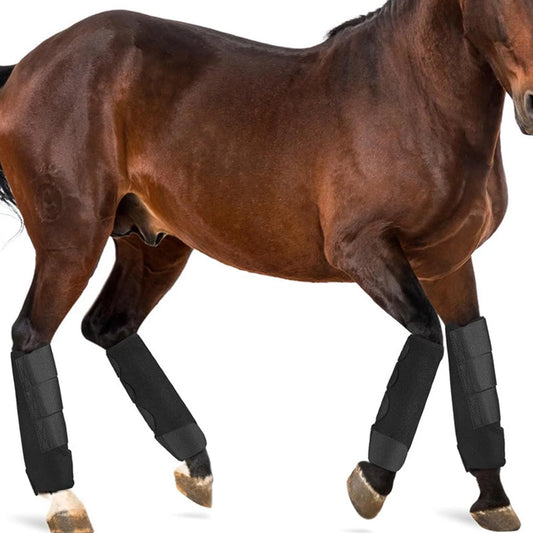 Guardian Sport Horse Boots
