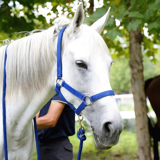 The Serenity Halter & Lead