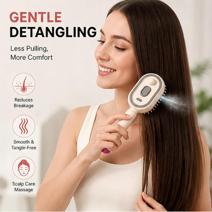 Alloet Anti-Static Electric Steam & Red Light Therapy Hairbrush