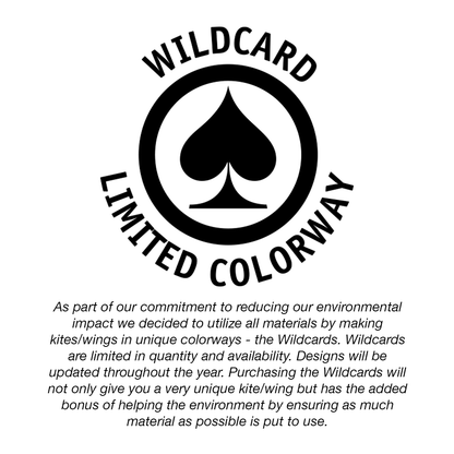 CABRINHA VISION WING: The Ultimate Tool for FREERIDE / FREESTYLE / LIGHTWIND